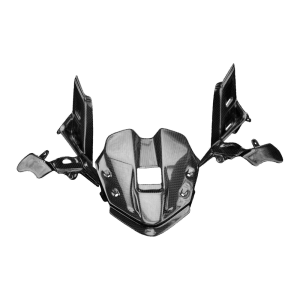 Cover strumentazione F&F Carbon, carbonio/fibra di vetro – Ducati Panigale V4/V4S 2019–2021, Panigale V4R 2019–2020 ecc.