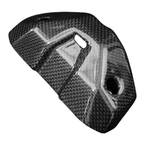 F&F Carbon Instrumenten-Abdeckung, 100 % Carbon – Ducati Streetfighter V4