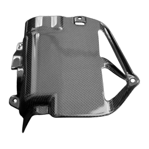 F&F Carbon Kühlerverkleidung-Halter, Carbon/Glasfaser – Ducati XDiavel V4 ab 2025