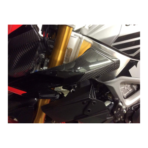 F&F Carbon Lufteinlass-Verkleidung, Carbon/Glasfaser – Aprilia Tuono V4 2016–2020