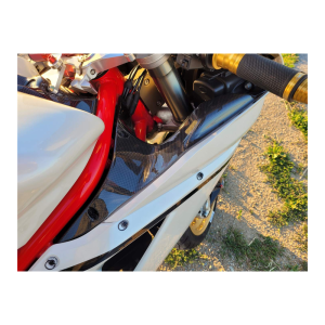 F&F Carbon Lufteinlass-Verkleidung, 100 % Carbon – Ducati 1098, 1198 u. a.