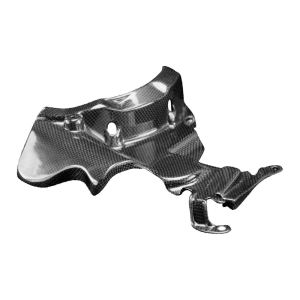 Preview: Cover motore F&F Carbon, carbonio/fibra di vetro – Ducati Panigale V2, Streetfighter V2