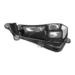 Cover motore F&F Carbon, carbonio/fibra di vetro – Ducati Panigale V4, Panigale V4S ecc.