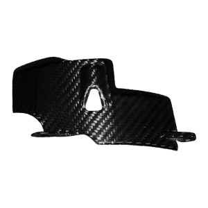 F&F Carbon Motorabdeckung, 100 % Carbon – Ducati Panigale V4 ab 2025