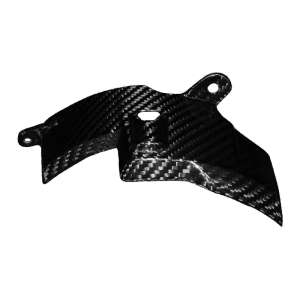 Preview: F&F Carbon Motorabdeckung, 100 % Carbon – Ducati Panigale V4 ab 2025