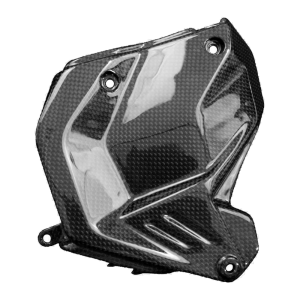 F&F Carbon Motorabdeckung, 100 % Carbon – Ducati Panigale V4/V4S ab 2025
