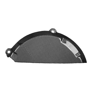 F&F Carbon Motorabdeckung, 100 % Carbon – Ducati Streetfighter V2 ab 2021
