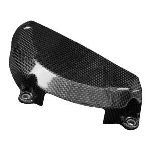 Preview: F&F Carbon Motorabdeckung, 100 % Carbon – Ducati Streetfighter V2 ab 2021
