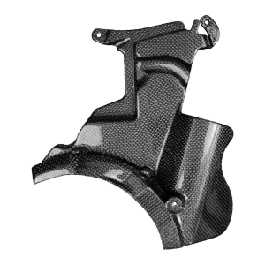 F&F Carbon Motorabdeckung, 100 % Carbon – Ducati Streetfighter V2 ab 2021