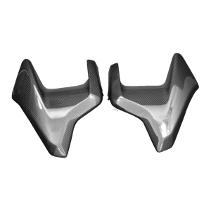 F&F Carbon Motorabdeckung, 100 % Carbon – MV Agusta Brutale 675/800 2013–2015/Dragster 2014–2018, Brutale RR 2015–2020 u. a.