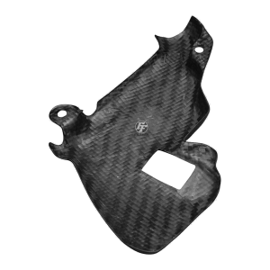 Preview: F&F Carbon Motorabdeckung rechts, Carbon/Glasfaser – Aprilia RSV Tuono 2003–2005