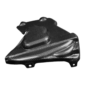 Preview: F&F Carbon Motorabdeckung rechts, 100 % Carbon – Ducati Streetfighter V2 ab 2021