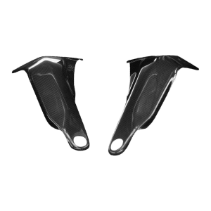 Preview: Paratelaio F&F Carbon, carbonio/fibra di vetro – Ducati Panigale V4, Panigale V4 SP ecc.