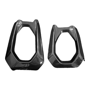 F&F Carbon Schwingenverkleidung, 100 % Carbon – Ducati Panigale V4/V4S ab 2025