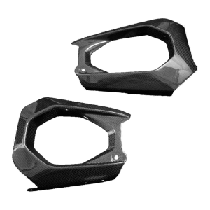Preview: F&F Carbon Schwingenverkleidung, 100 % Carbon – Ducati Panigale V4/V4S ab 2025