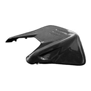 F&F Carbon Schwingenverkleidung, 100 % Carbon – Ducati Panigale V4/V4S ab 2025