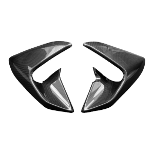 F&F Carbon Seitenverkleidung, Carbon/Glasfaser – Ducati Diavel V4 ab 2023