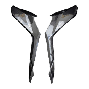 F&F Carbon Seitenverkleidung unter Sitz, Carbon/Glasfaser – Ducati Supersport 939 2017–2020