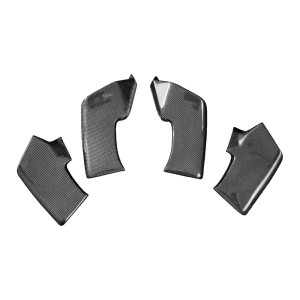 F&F Carbon Winglets, Carbon/Glasfaser – Ducati Streetfighter V4