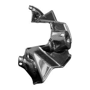 Preview: F&F Carbon Zündschlossabdeckung, 100 % Carbon – Ducati Streetfighter V4 ab 2025