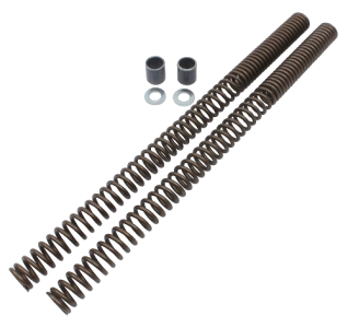 Wirth Progressive Fork Spring Set with ABE – Ducati 860 GT