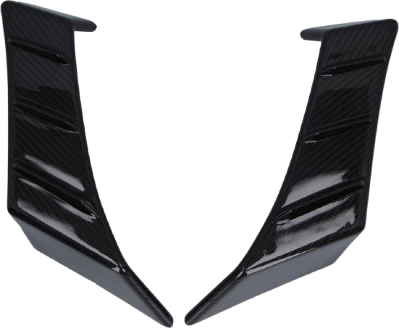 CarbonAttack Winglets glänzend, Aprilia RSV4