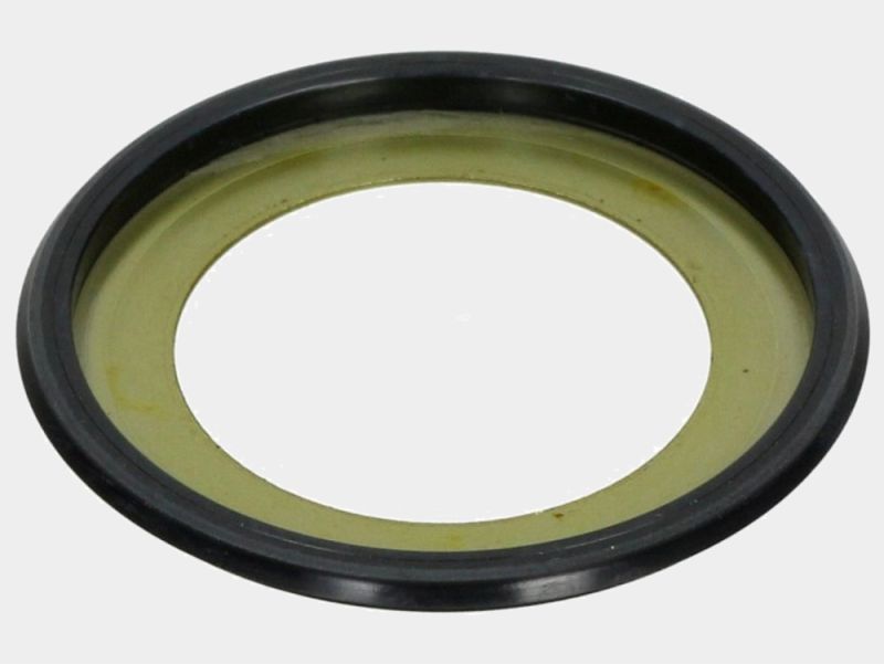 Dust Protector Steering Head - Moto Guzzi