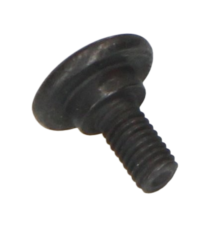 Moto Guzzi/Aprilia screw