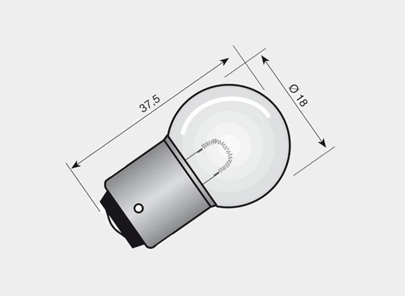 Bulb 12V 5W - Spahn