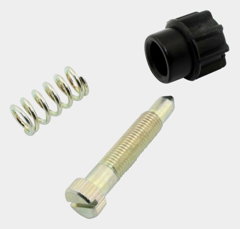 Dellorto Idle Screw Kit VHSH