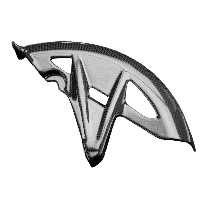 F&F Carbon Abdeckung-Bremsscheibe, Carbon/Glasfaser – Ducati Multistrada 950 2017–2019, Multistrada 1200 2016–2019 u. a.