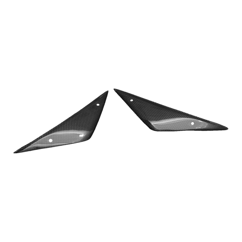 F&F Carbon Airboxverkleidung, 100 % Carbon – MV Agusta F4 1000 2010–2013