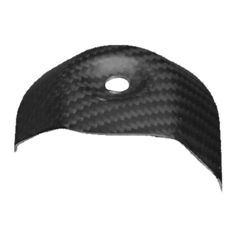 Paracalore scarico F&F Carbon, carbonio/fibra di vetro – Ducati Monster 796, Monster 1100