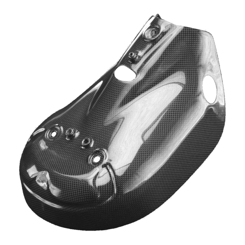 F&F Carbon Auspuffverkleidung, 100 % Carbon – Ducati Panigale 1299