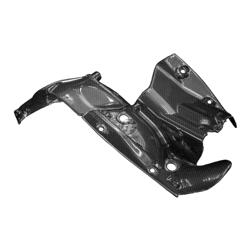 F&F Carbon Auspuffverkleidung, 100 % Carbon – Ducati Panigale V4, Panigale V4S 2019–2021 u. a.
