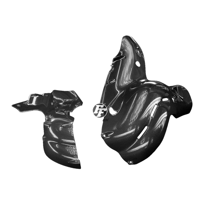 Paracalore scarico F&F Carbon, carbonio/fibra di vetro – Ducati Panigale V4, Panigale V4S ecc.