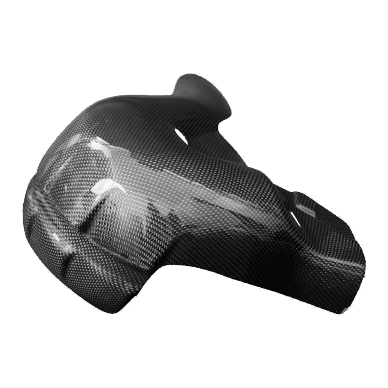 Paracalore scarico F&F Carbon, 100 % carbonio – Ducati Panigale V4, Panigale V4S