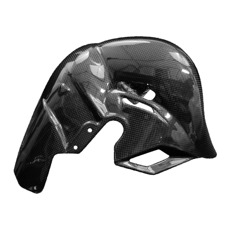Paracalore scarico F&F Carbon, carbonio/fibra di vetro – Ducati Panigale V4/V4S dal 2025
