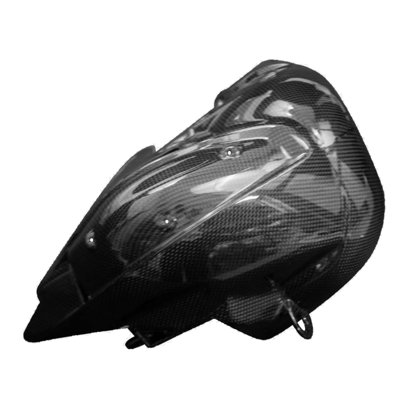 Paracalore scarico F&F Carbon, carbonio/fibra di vetro – Ducati Streetfighter V4 dal 2025