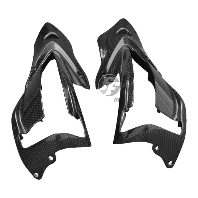 F&F Carbon Blinkerverkleidung, 100 % Carbon – MV Agusta Rivale 800