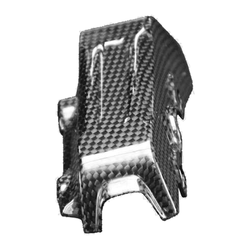 F&F Carbon Bremspumpen-Abdeckung, 100 % Carbon – Ducati Streetfighter V4