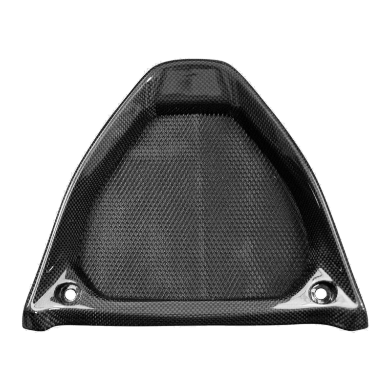 F&F Carbon Bugspoiler, 100 % Carbon – Aprilia RSV4 ab 2021, RSV4 Factory ab 2021