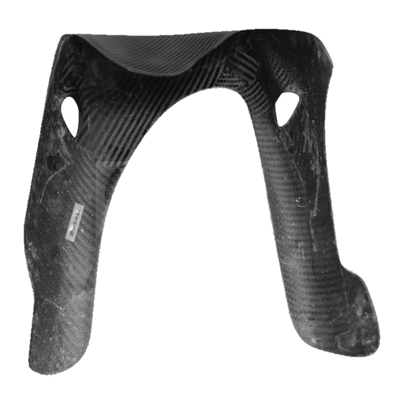 Puntale F&F Carbon, 100 % carbonio – Ducati Monster 620/695