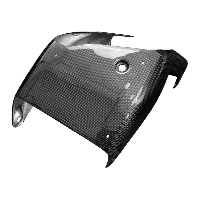 F&F Carbon Bugspoiler, Carbon/Glasfaser – Ducati Multistrada V4/V4S ab 2021