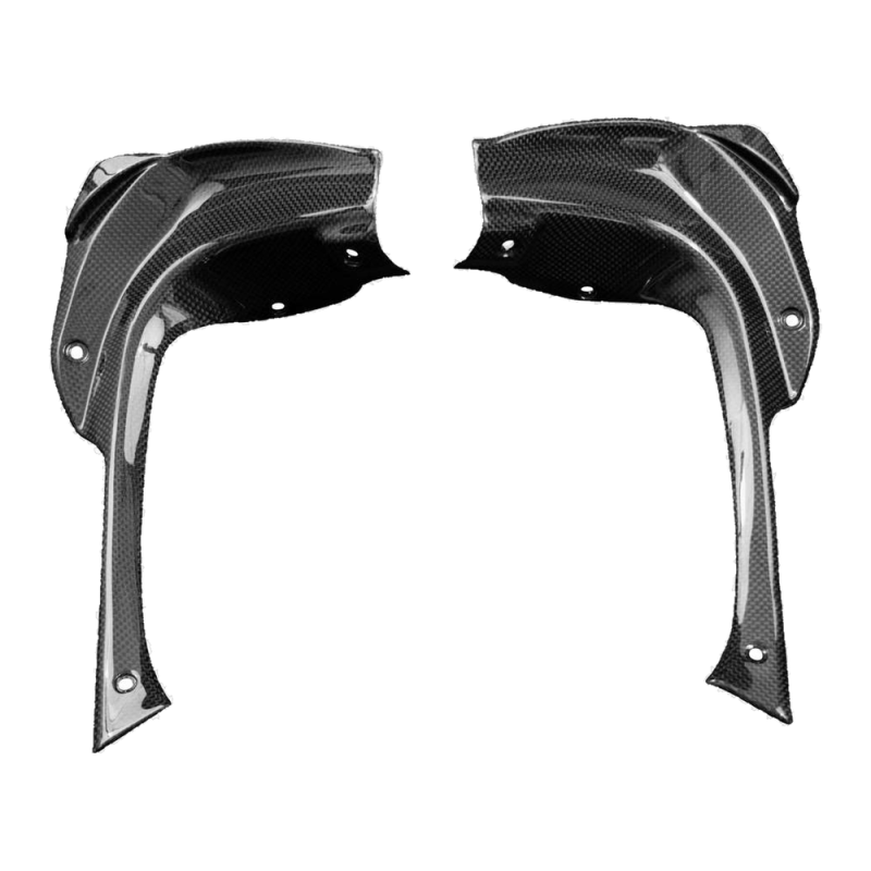 F&F Carbon Cockpitverkleidung, 100 % Carbon – Aprilia RSV4 ab 2021, RSV4 Factory ab 2021