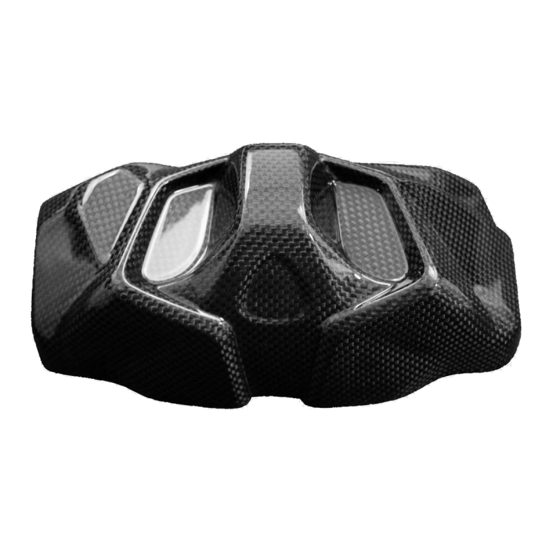F&F Carbon Cockpitverkleidung, Carbon/Glasfaser – Ducati Streetfighter V4 ab 2025