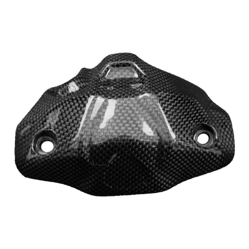 F&F Carbon Frontverkleidung, 100 % Carbon – Ducati Monster 821 Stealth ab 2019