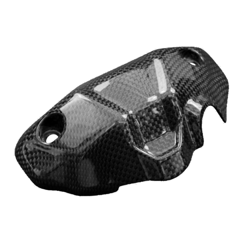 F&F Carbon Frontverkleidung, 100 % Carbon – Ducati Monster 821 Stealth ab 2019