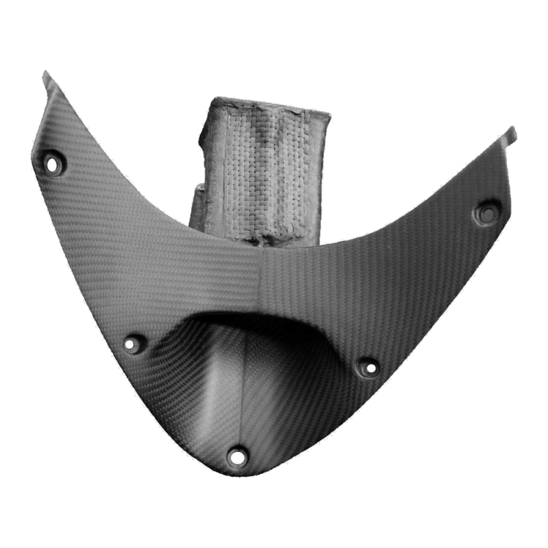 F&F Carbon Frontverkleidung, 100 % Carbon – Ducati Panigale V4/V4S ab 2025