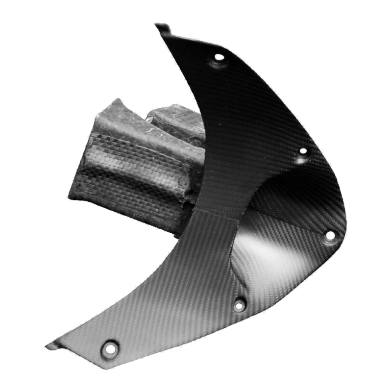 F&F Carbon Frontverkleidung, 100 % Carbon – Ducati Panigale V4/V4S ab 2025